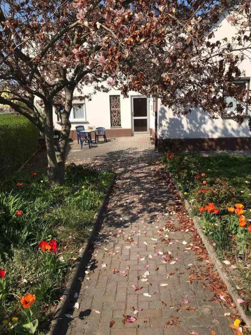 Appartement Auf Dem Land Und Doch Ganz Nah à Krolpa Extérieur photo
